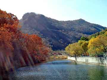 新澳天天开奖资料大全旅游团，神采飞扬中国郎